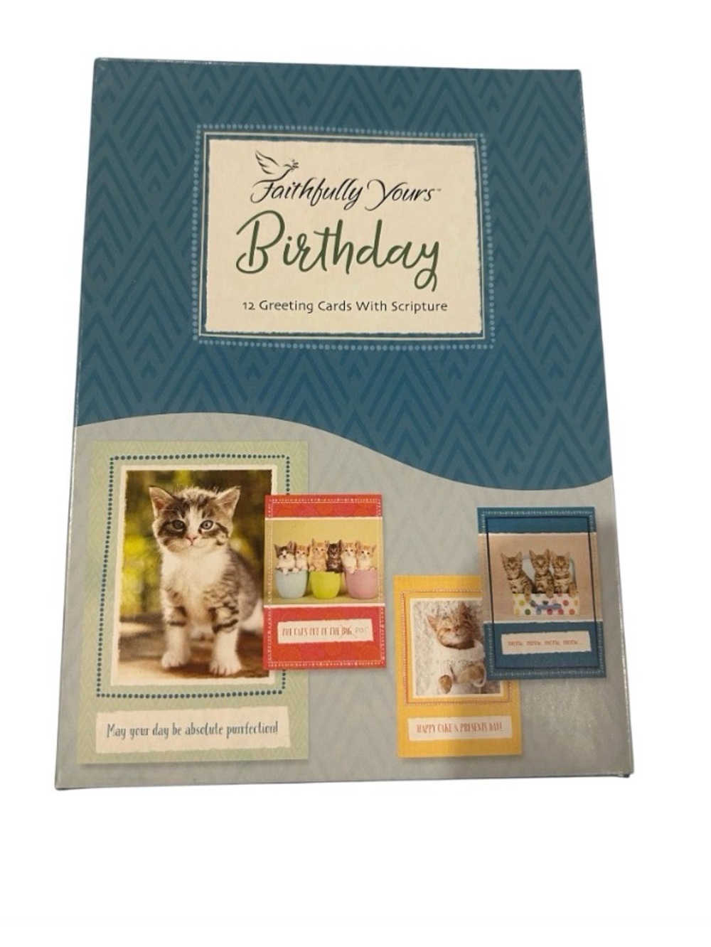 Faithfull the Brand Cat Birthday Card Set - Teal Blue with Multicolor Accents